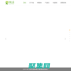 豐誠上品-全國優質原產地農產品平臺