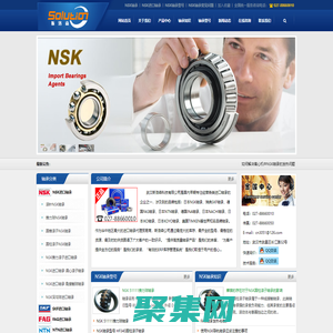 NSK軸承 NSK進口軸承 日本NSK軸承型號 NSK軸承中國總代理 -武漢斯洛森科技有限公司