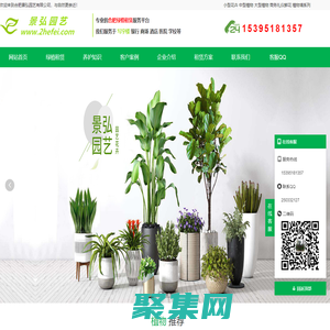 合肥辦公室綠植租賃_花卉租擺出租【專業上門養護】-景弘園藝公司