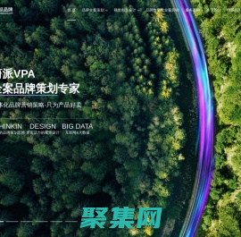 上海品牌策劃公司-企業品牌設計-品牌營銷策劃咨詢-蔚派VPA