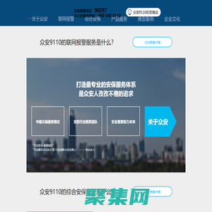 山東眾安9110