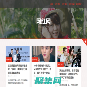 李子柒|李佳琦|薇婭-網紅網